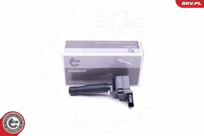 Ignition Coil ESEN SKV 03SKV329