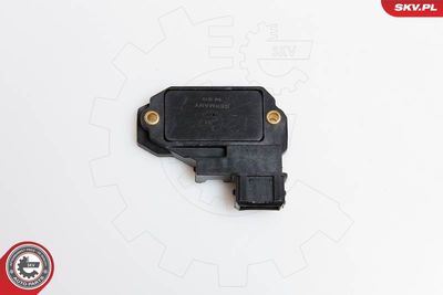 Ignition Coil ESEN SKV 03SKV902