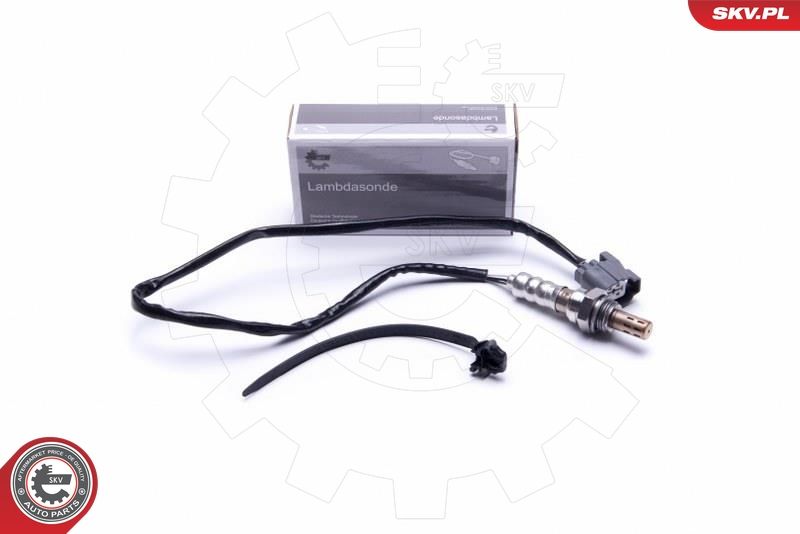 ESEN SKV 09SKV123 Oxygen Sensor
