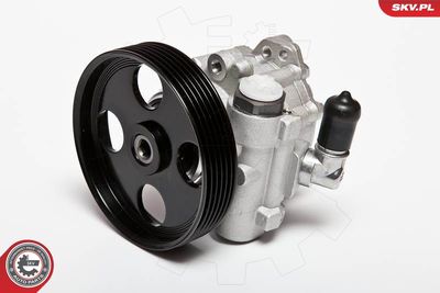 Hydraulic Pump, steering ESEN SKV 10SKV004