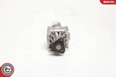 Hydraulic Pump, steering ESEN SKV 10SKV005