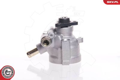 Hydraulic Pump, steering ESEN SKV 10SKV007