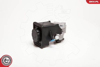 Hydraulic Pump, steering ESEN SKV 10SKV012