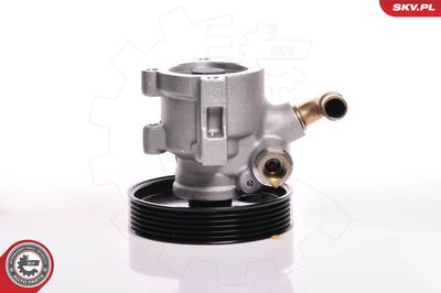Hydraulic Pump, steering ESEN SKV 10SKV013