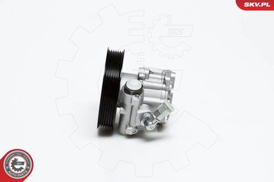 Hydraulic Pump, steering ESEN SKV 10SKV022