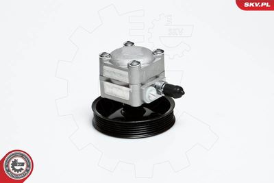 Hydraulic Pump, steering ESEN SKV 10SKV027