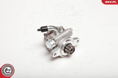 Hydraulic Pump, steering ESEN SKV 10SKV032