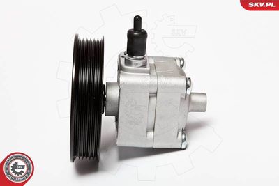 Hydraulic Pump, steering ESEN SKV 10SKV033