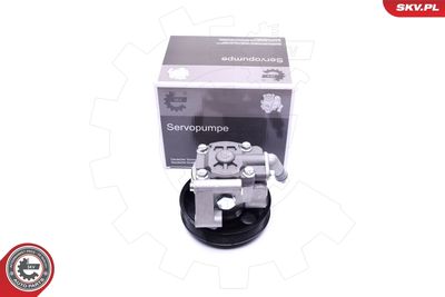 Hydraulic Pump, steering ESEN SKV 10SKV038