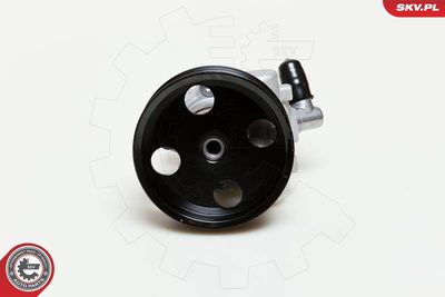 Hydraulic Pump, steering ESEN SKV 10SKV039
