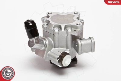 Hydraulic Pump, steering ESEN SKV 10SKV044