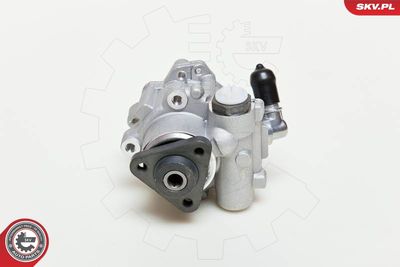 Hydraulic Pump, steering ESEN SKV 10SKV049