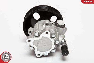 Hydraulic Pump, steering ESEN SKV 10SKV063