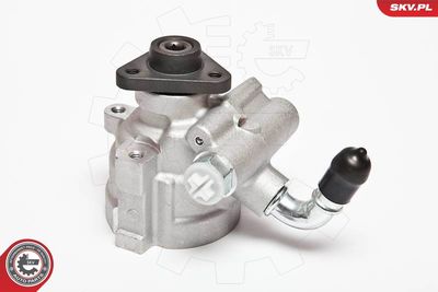 Hydraulic Pump, steering ESEN SKV 10SKV064