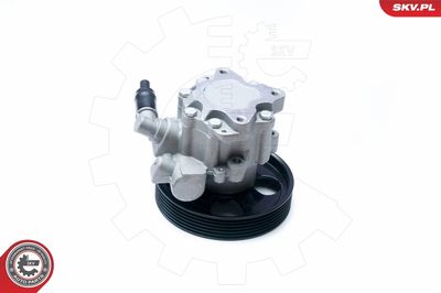 Hydraulic Pump, steering ESEN SKV 10SKV073