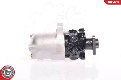 Hydraulic Pump, steering ESEN SKV 10SKV084