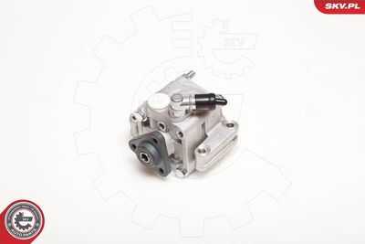 Hydraulic Pump, steering ESEN SKV 10SKV088