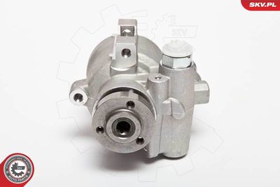 Hydraulic Pump, steering ESEN SKV 10SKV089