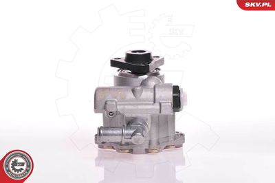 Hydraulic Pump, steering ESEN SKV 10SKV102