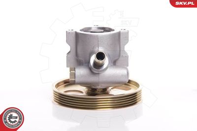 Hydraulic Pump, steering ESEN SKV 10SKV119