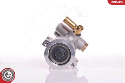 Hydraulic Pump, steering ESEN SKV 10SKV120