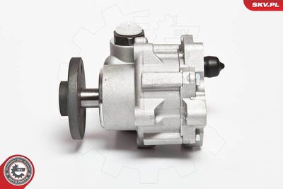 Hydraulic Pump, steering ESEN SKV 10SKV123