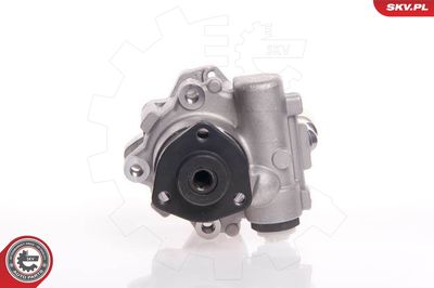 Hydraulic Pump, steering ESEN SKV 10SKV145