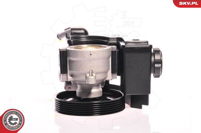 Hydraulic Pump, steering ESEN SKV 10SKV153