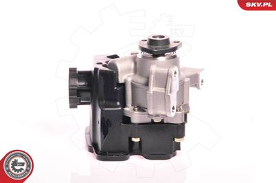 Hydraulic Pump, steering ESEN SKV 10SKV162