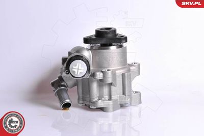Hydraulic Pump, steering ESEN SKV 10SKV167