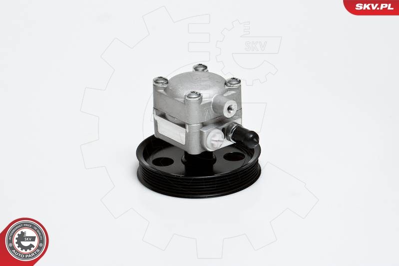 ESEN SKV 10SKV176 Hydraulic Pump, steering