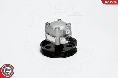 Hydraulic Pump, steering ESEN SKV 10SKV176