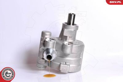 Hydraulic Pump, steering ESEN SKV 10SKV180