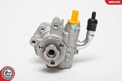 Hydraulic Pump, steering ESEN SKV 10SKV182