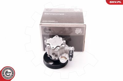 Hydraulic Pump, steering ESEN SKV 10SKV197