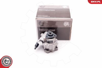 Hydraulic Pump, steering ESEN SKV 10SKV220