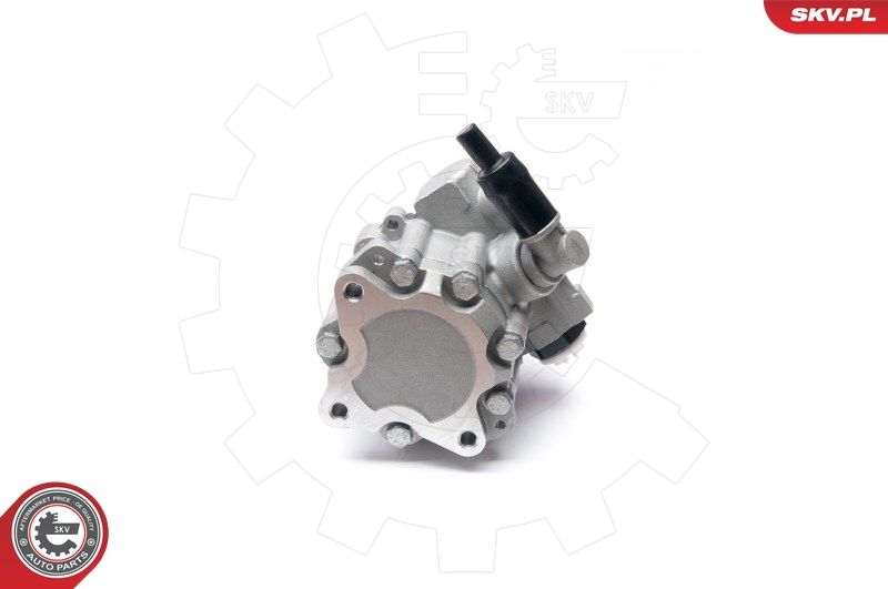 ESEN SKV 10SKV224 Hydraulic Pump, steering