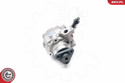 Hydraulic Pump, steering ESEN SKV 10SKV226