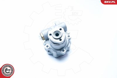 Hydraulic Pump, steering ESEN SKV 10SKV230