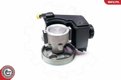 Hydraulic Pump, steering ESEN SKV 10SKV231