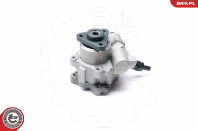 Hydraulic Pump, steering ESEN SKV 10SKV233