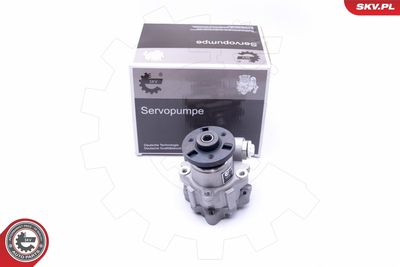 Hydraulic Pump, steering ESEN SKV 10SKV247