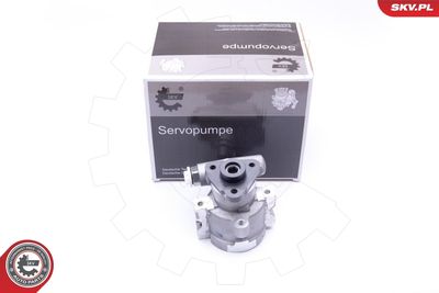 Hydraulic Pump, steering ESEN SKV 10SKV252