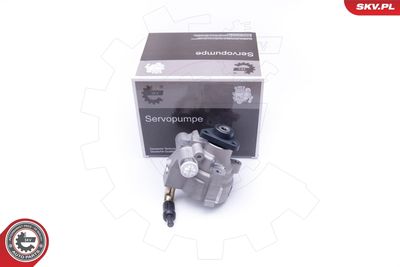 Hydraulic Pump, steering ESEN SKV 10SKV278