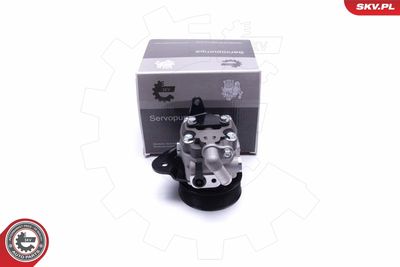 Hydraulic Pump, steering ESEN SKV 10SKV310