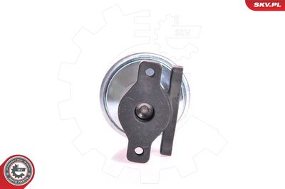 EGR Valve ESEN SKV 14SKV005
