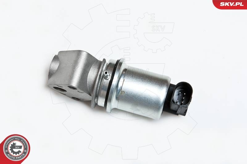 ESEN SKV 14SKV007 EGR Valve