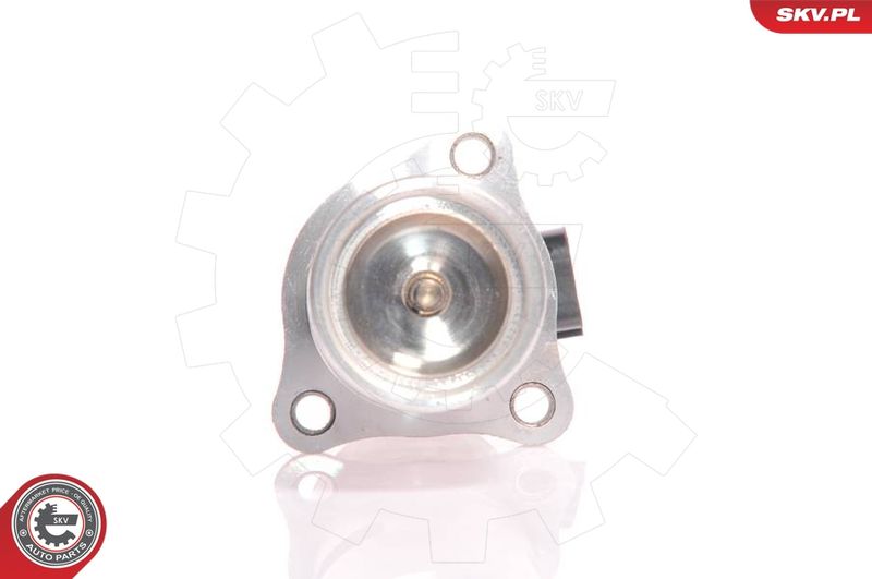 ESEN SKV 14SKV010 EGR Valve