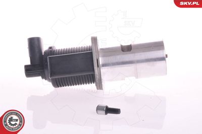EGR Valve ESEN SKV 14SKV011