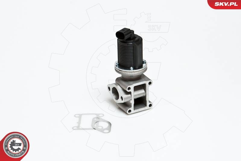 ESEN SKV 14SKV012 EGR Valve
